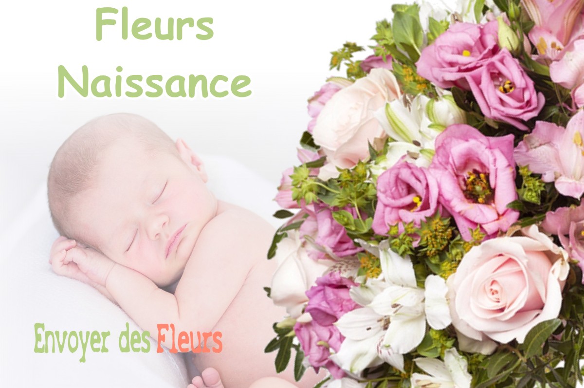 lIVRAISON FLEURS NAISSANCE à DUHORT-BACHEN